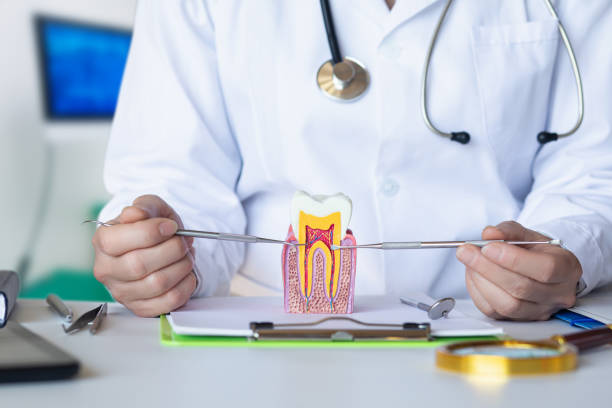 Best 24-Hour Emergency Dentist in Darmstadt, IN